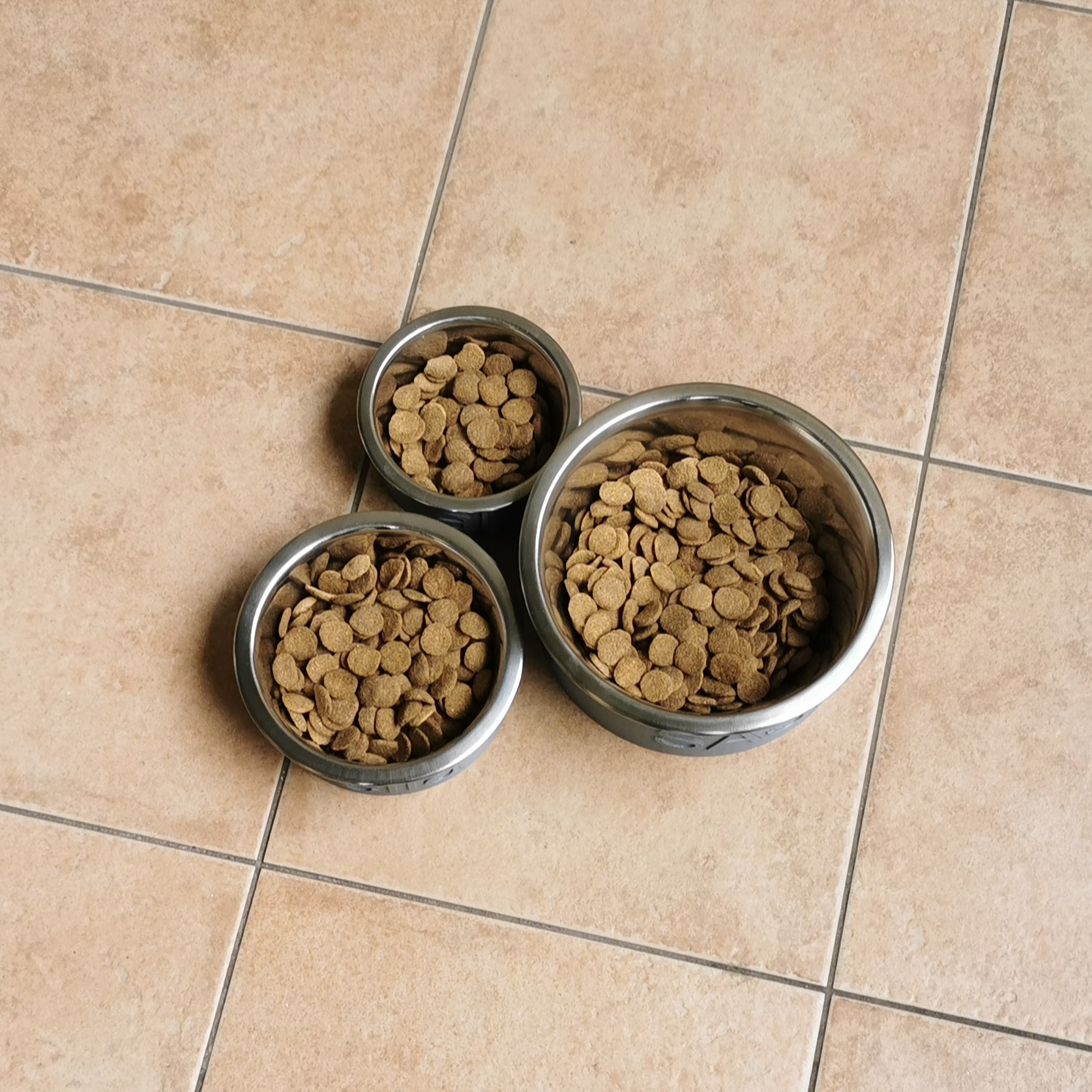 Custom 3D Printed Pet Bowl With Name Multiple Sizes Food 